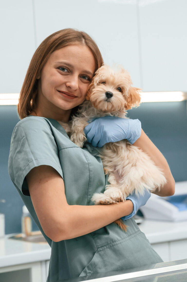 Cute little dog with woman veterinarian in the clinic