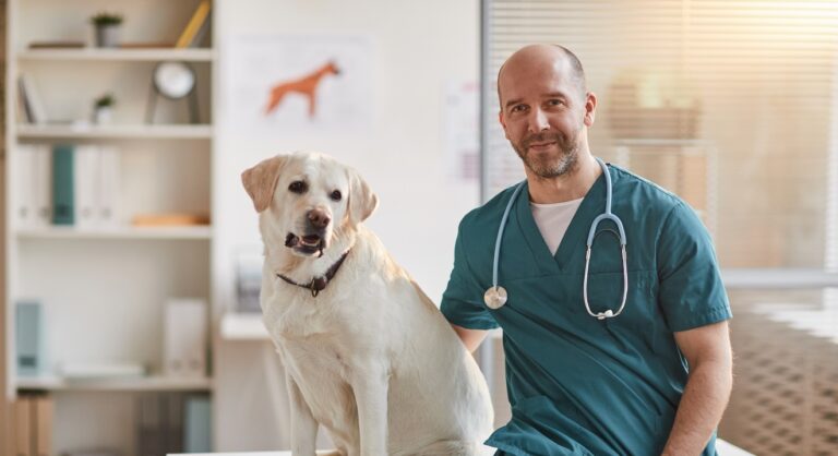 Male Veterinarian Posing with Dog at Vet Clinic