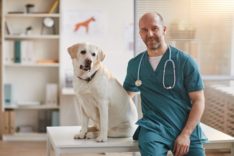 Male Veterinarian Posing with Dog at Vet Clinic