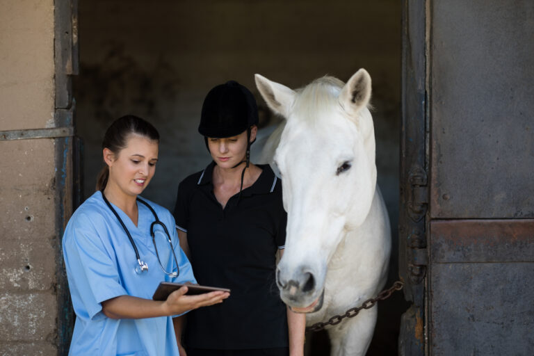 Vet showing digital tablet to jockey while standing by horse