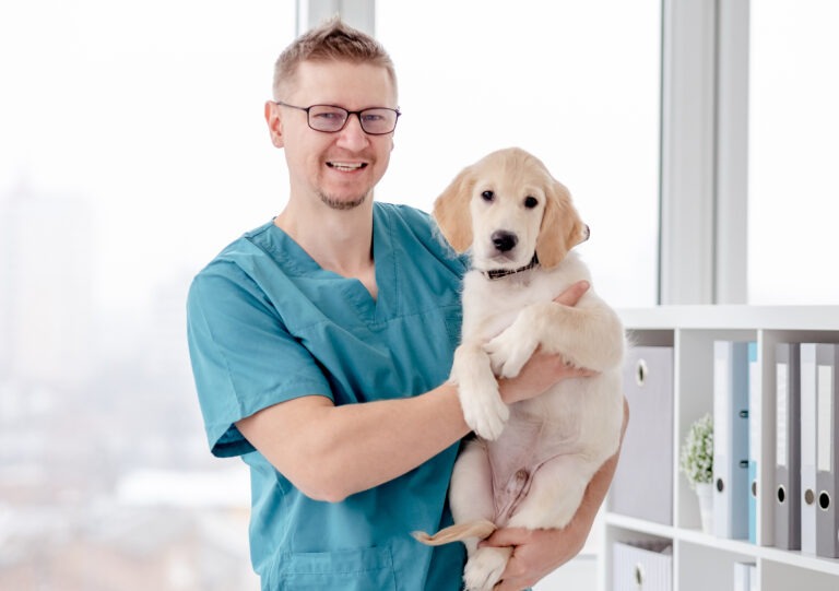 Vet holding healthy dog